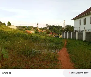 24 Decimals Plot on Sale in Kira Nsaza Estate