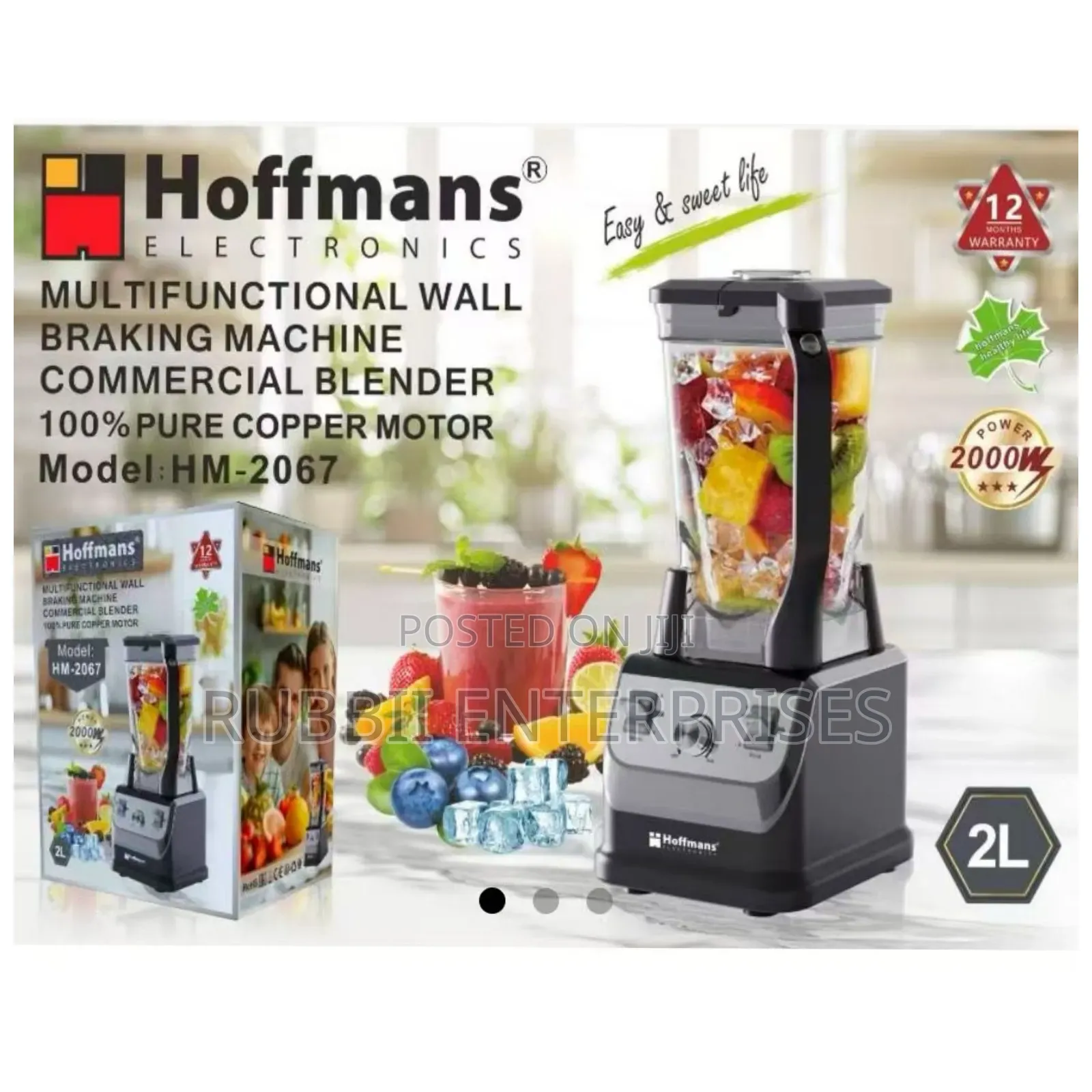 Multi Functional Wall Braking Blender ~ Hm2067