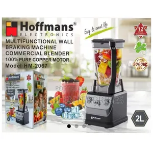 Multi Functional Wall Braking Blender ~ Hm2067