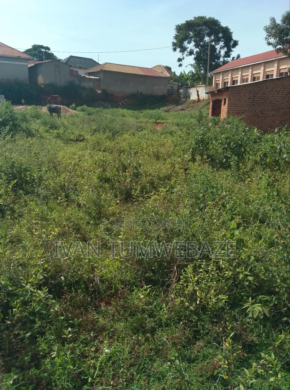 Plot for Sale in Kawuku Entebbe Road 50/100ft. Lake View