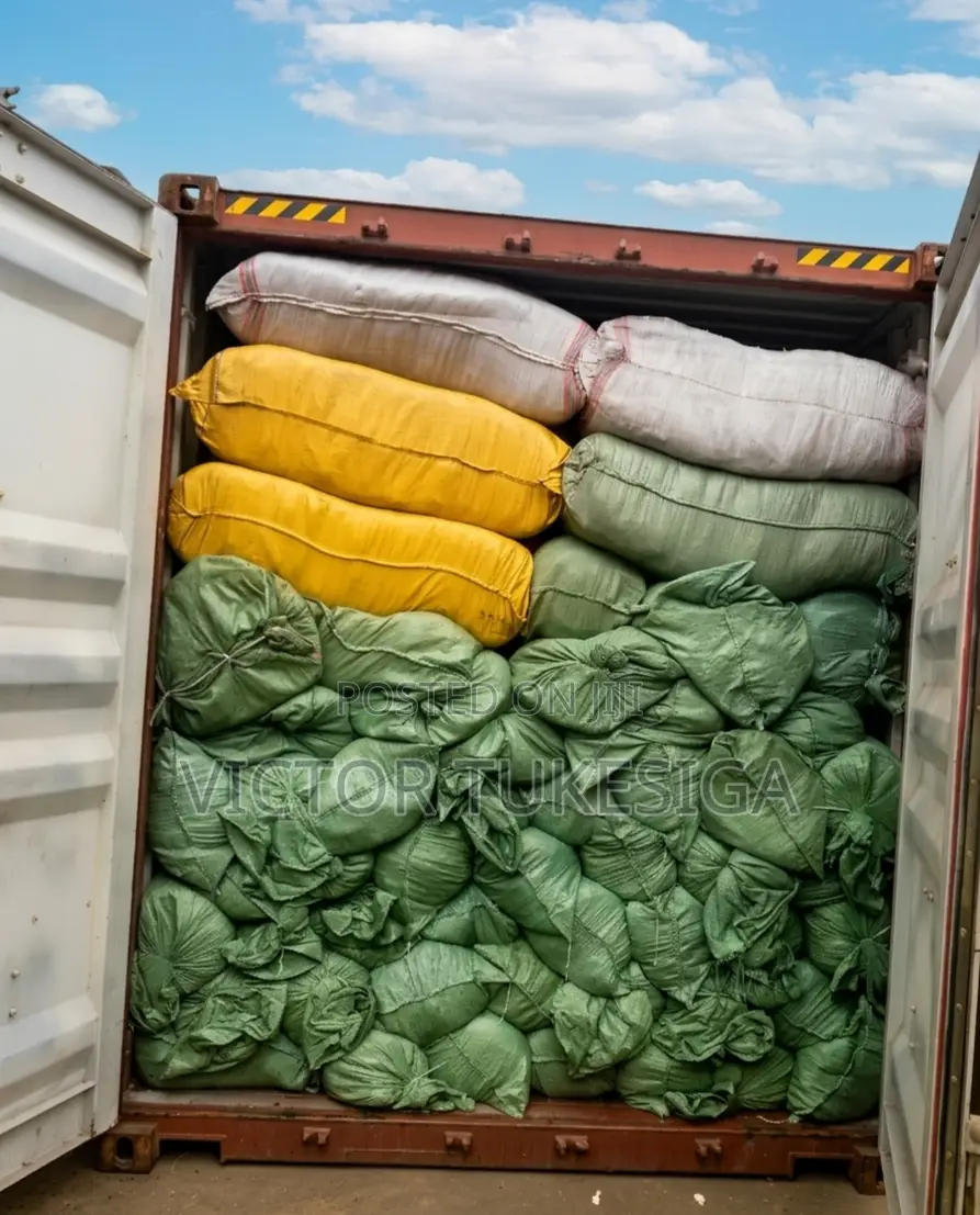 Professional Customs Clearing Forwarding Services – Fast Reliable