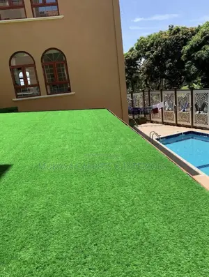 Affordable Grass Carpet in Kampala – Outdoor Indoor Use
