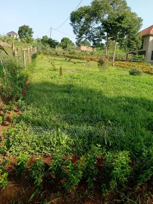 Land in Mukono for Sell