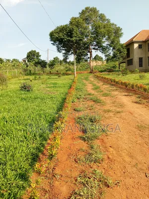 Land in Mukono for Sell