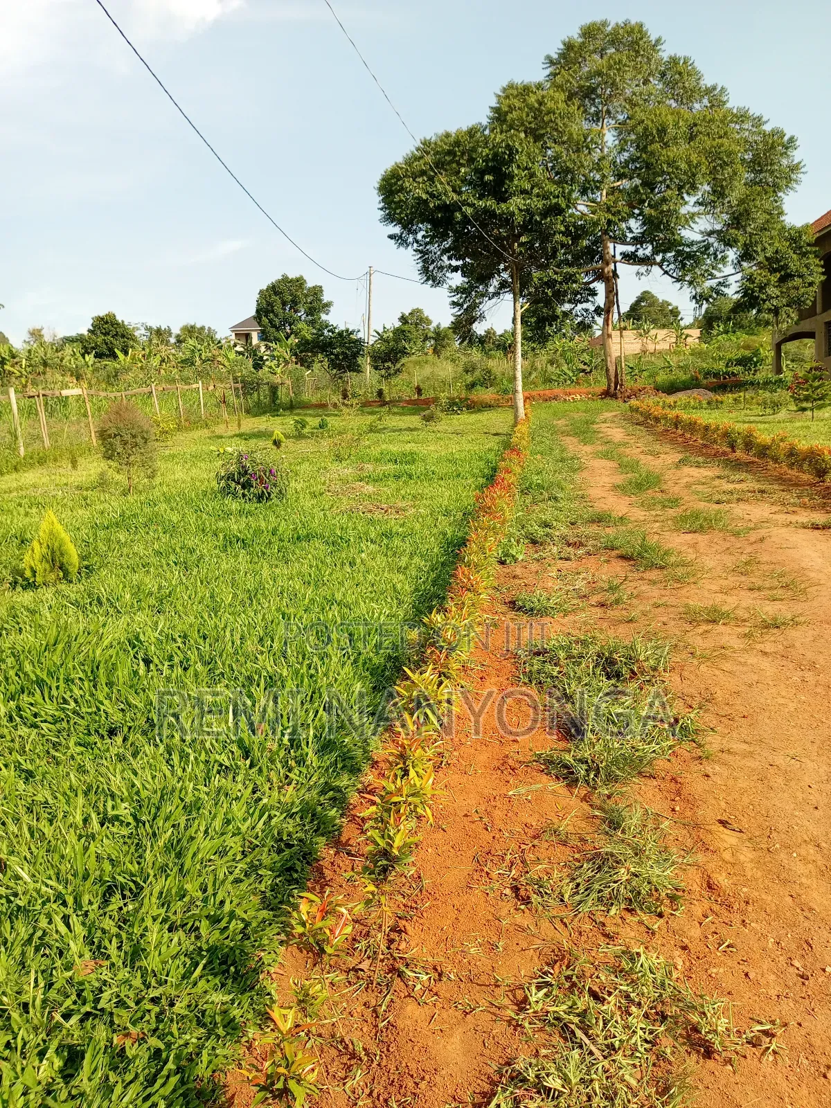 Land in Mukono for Sell