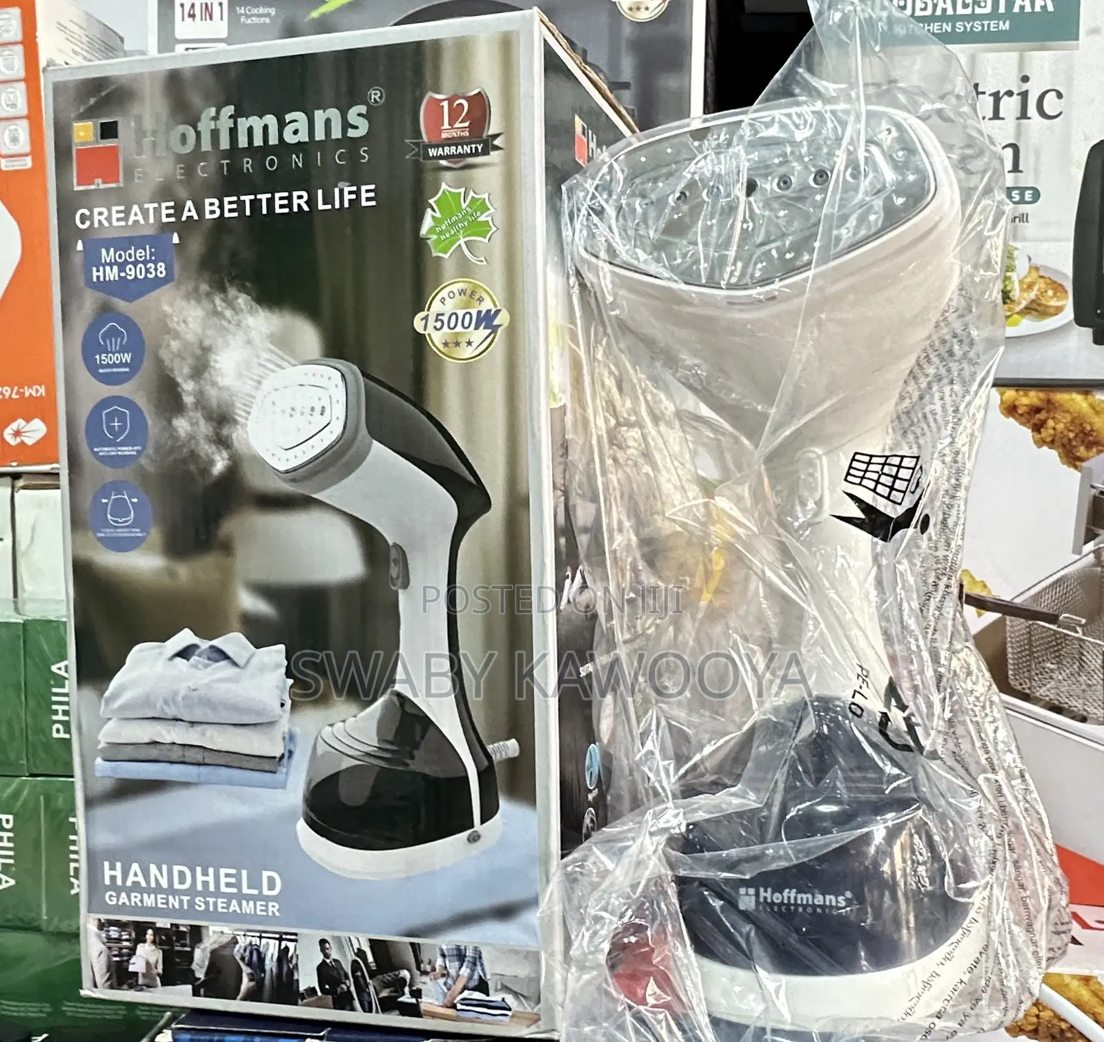 Handheld Steemer