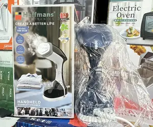 Handheld Steemer