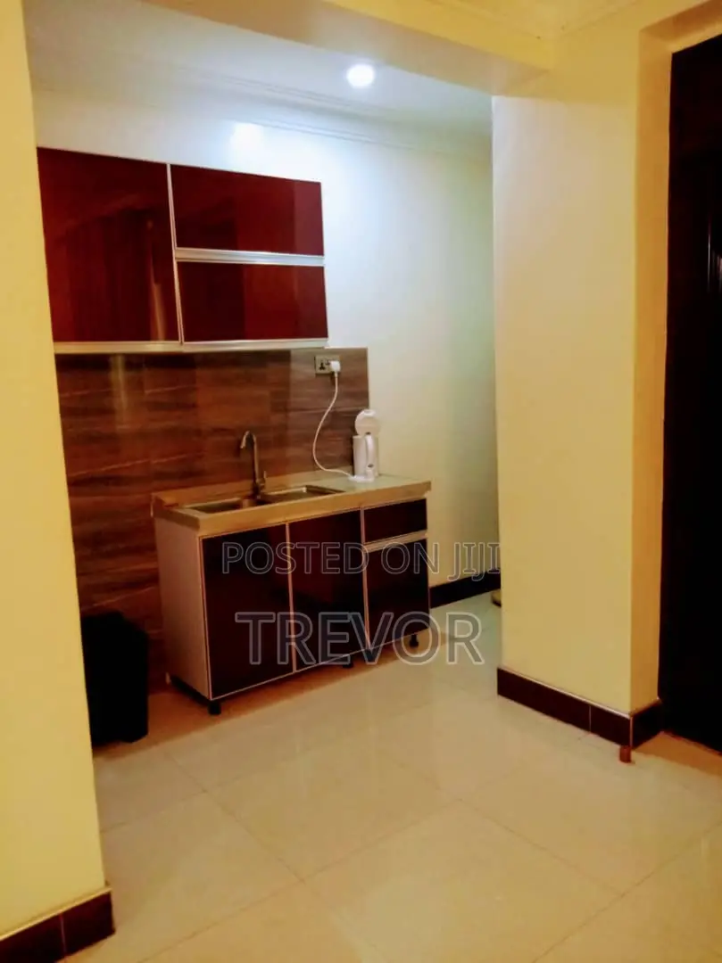 Fully Furnished Two Bedroom Apartments With Swimming Pool In Kampala.