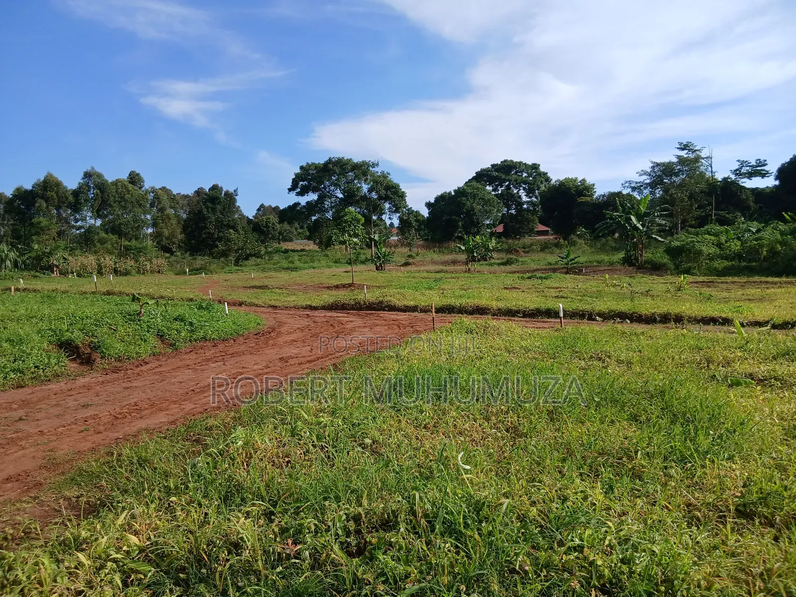 Plot on Sale