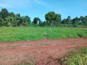 Plot on Sale
