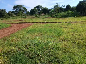 Plot on Sale