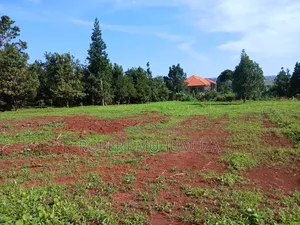 Plot on Sale