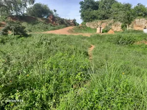 Land.On Zale
