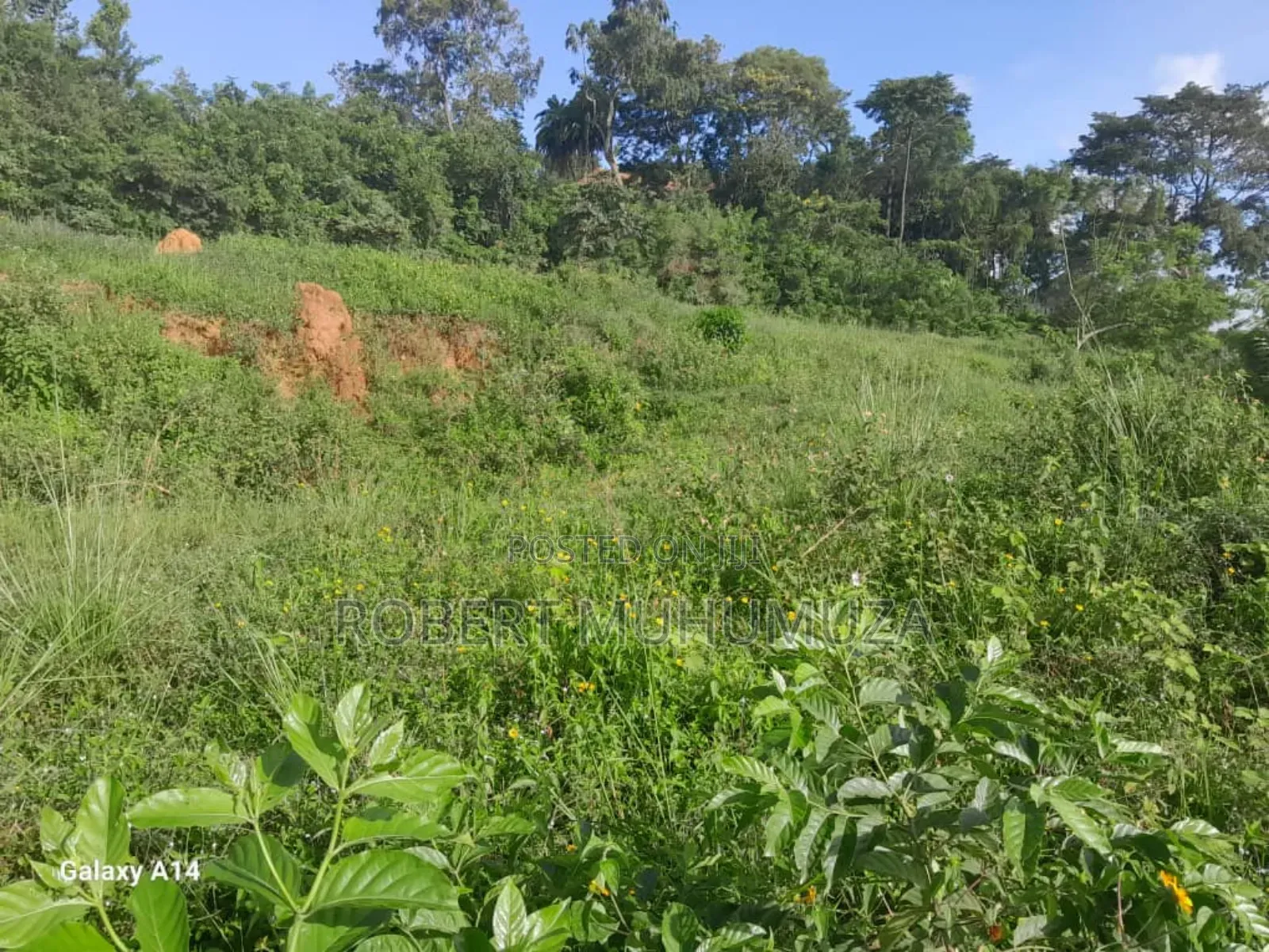 Land.On Zale