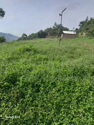 Land.On Zale