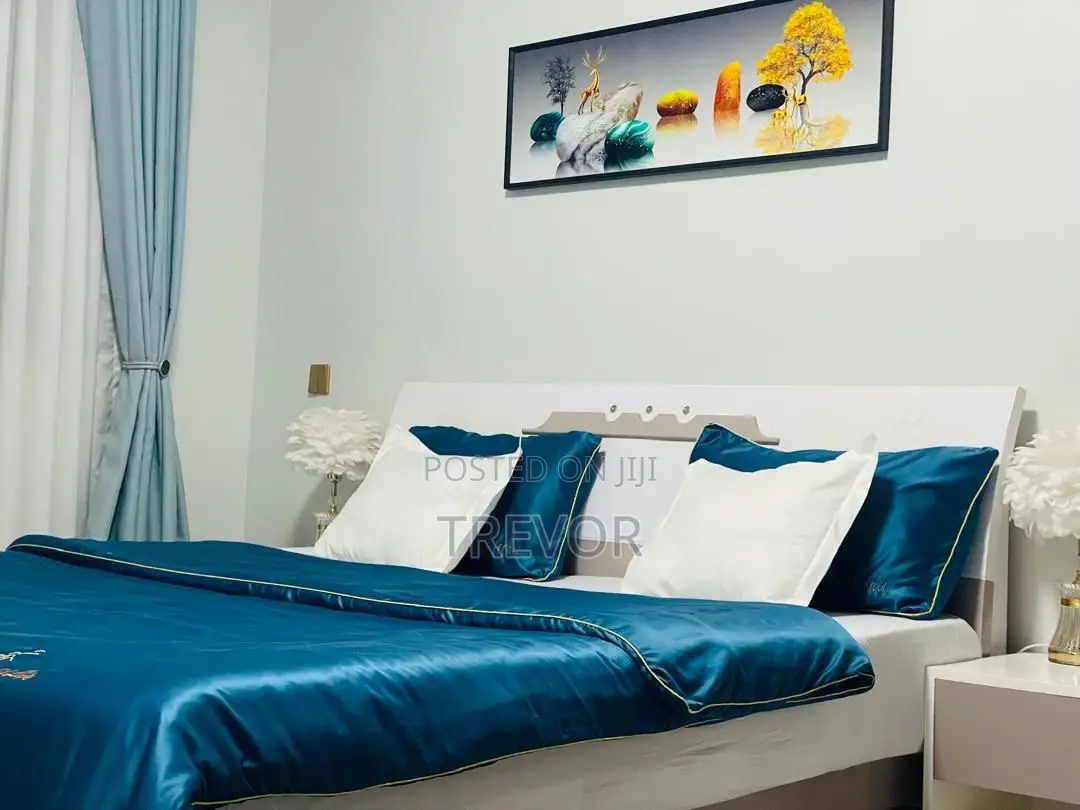 Fully Furnished Two Bedrooms Apartments for Rent in Kampala
