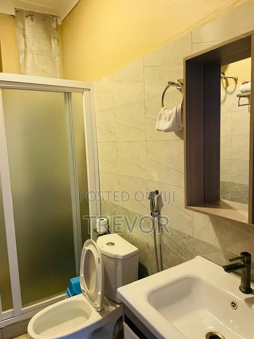 Fully Furnished Two Bedrooms Apartments for Rent in Kampala
