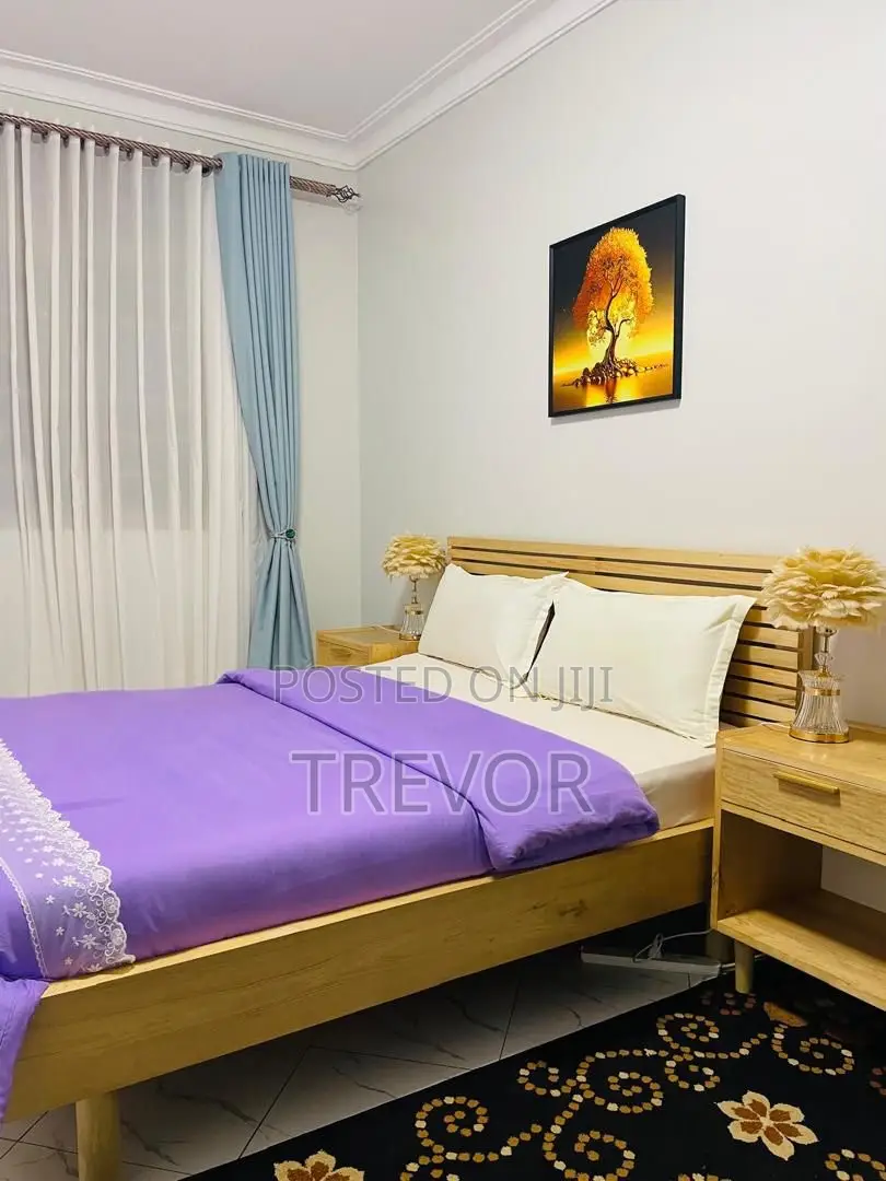 Fully Furnished Two Bedrooms Apartments for Rent in Kampala