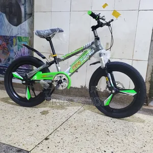 Green Size 20 Bicycle