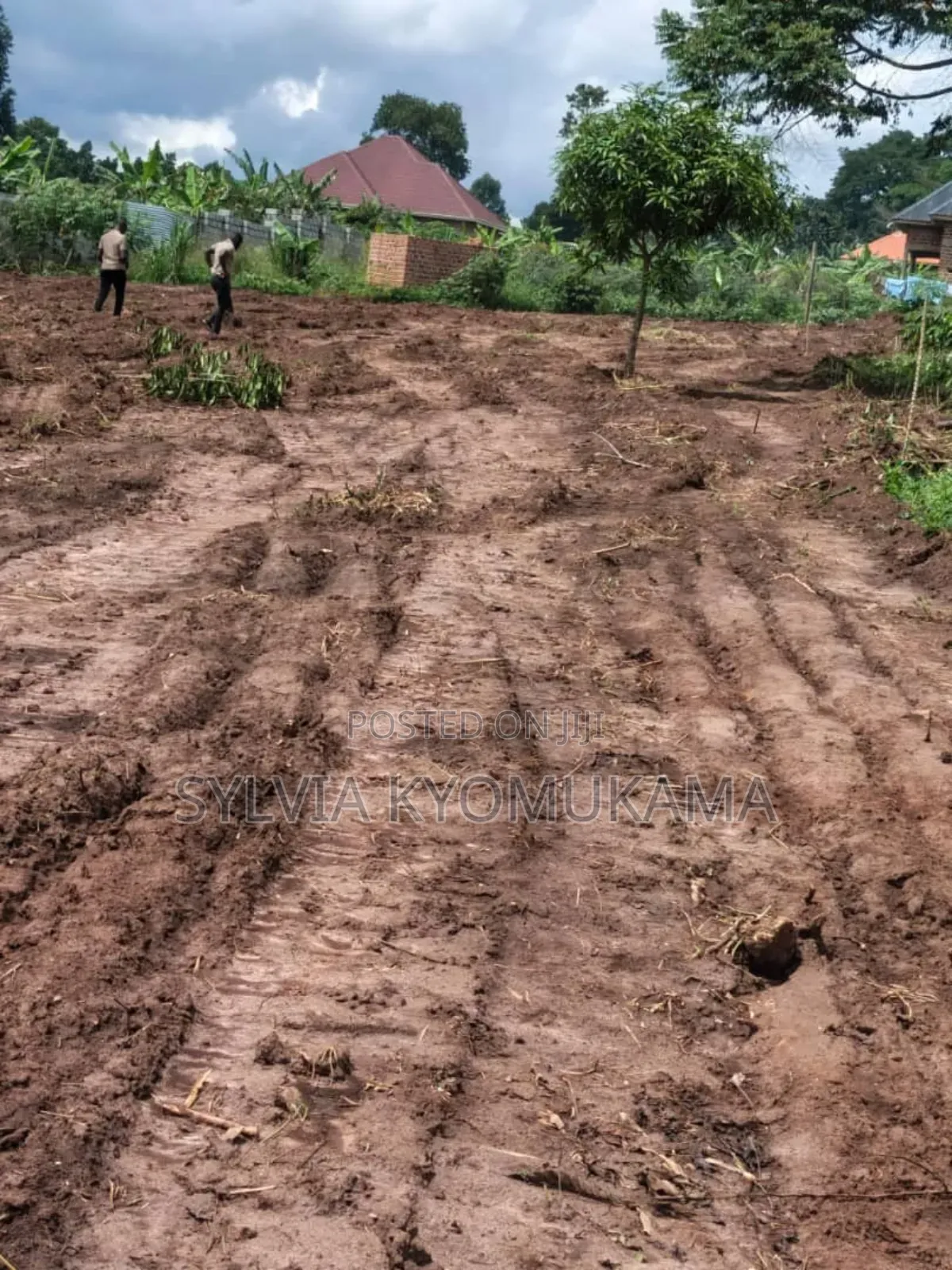 Plots for Sale