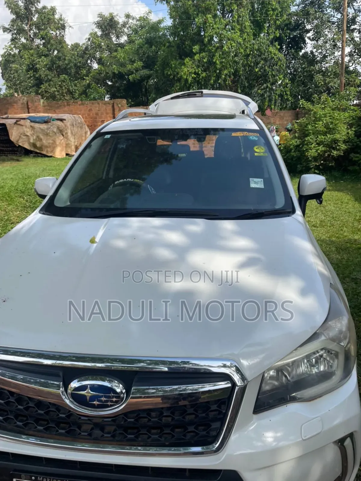 Subaru Forester 2015 White