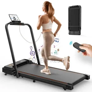 2 In 1 Walking Pad Treadmill