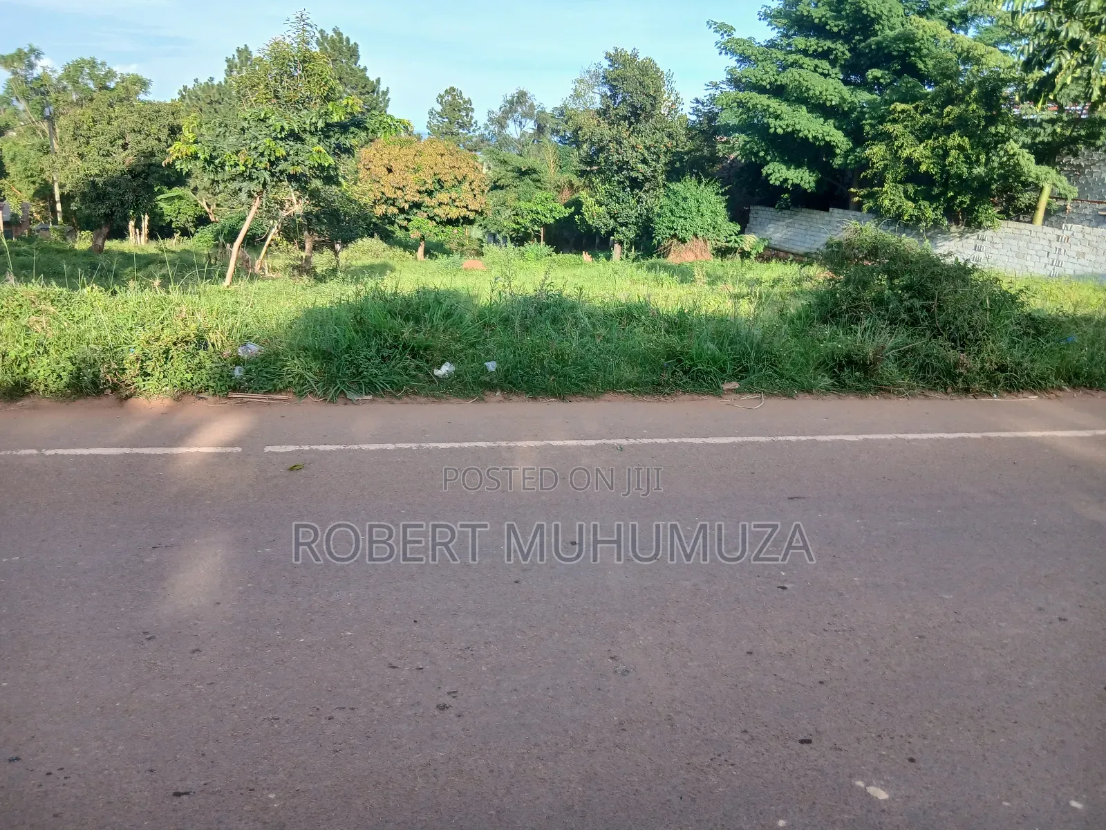 Land on Sale