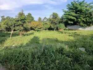 Land on Sale