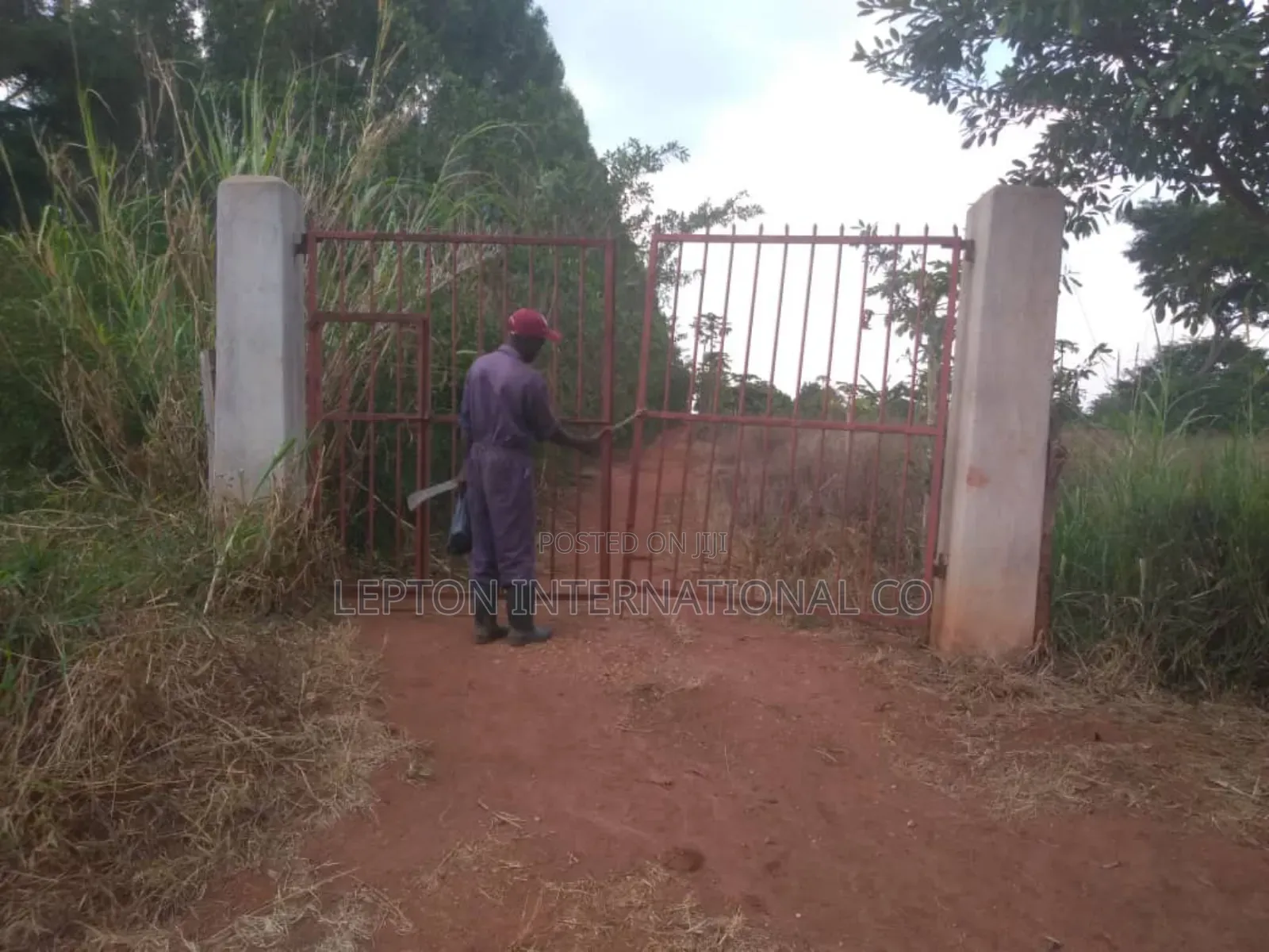 20acres for Sale in Nakaseke Gud for Residentials,Farming,Schls
