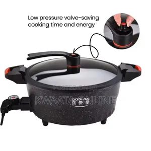 8l Hoffmans Multifunctional Micro Pressure Cooker