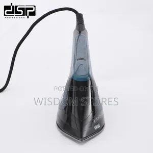 DSP 2-in-1 Steam Iron, Model Kd1170