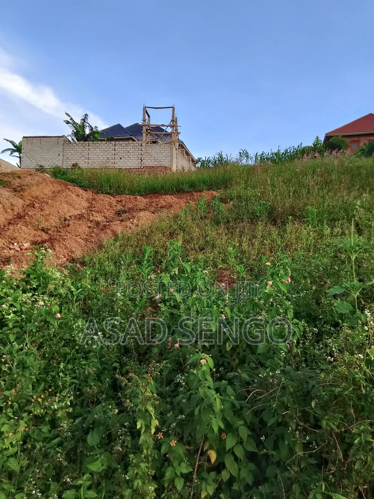 Plot for Sale