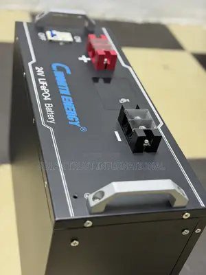 Cworth Lithium Battery 24v