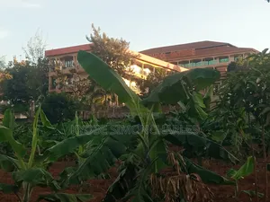 1 Acre 20 Decimals at Bwebajja Akright on Sale