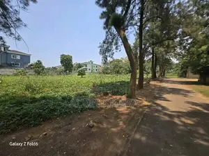 Land For Sale Starting With 2.5