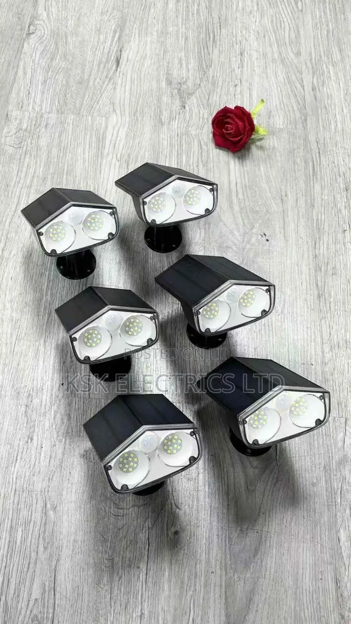 Garden Lights