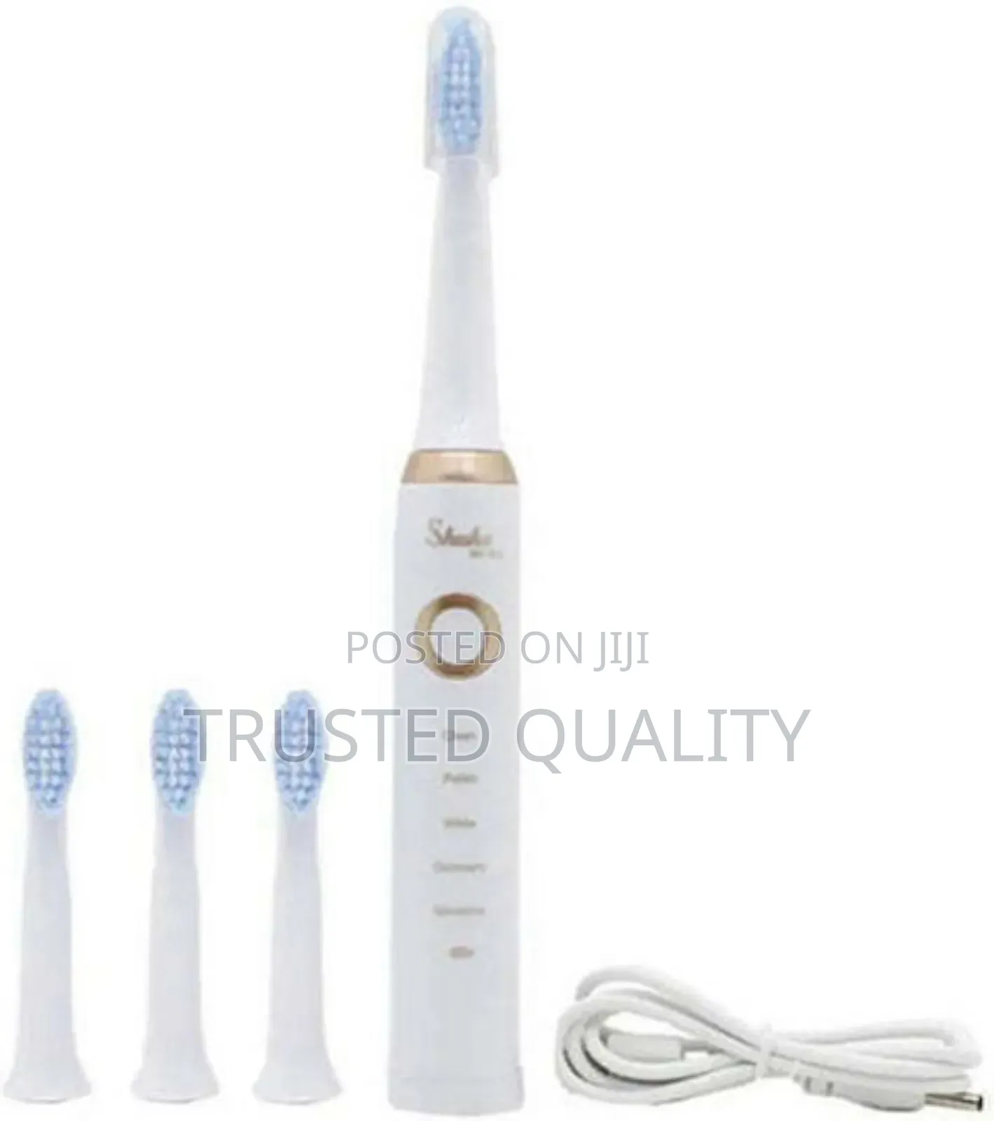 Shake Electric Toothbrush