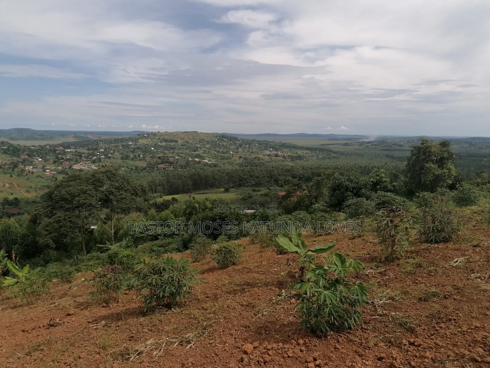 15 Acres at Kampilingisa at 90m Each Near Tarmac