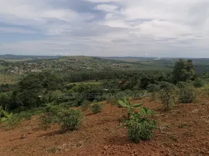 15 Acres at Kampilingisa at 90m Each Near Tarmac