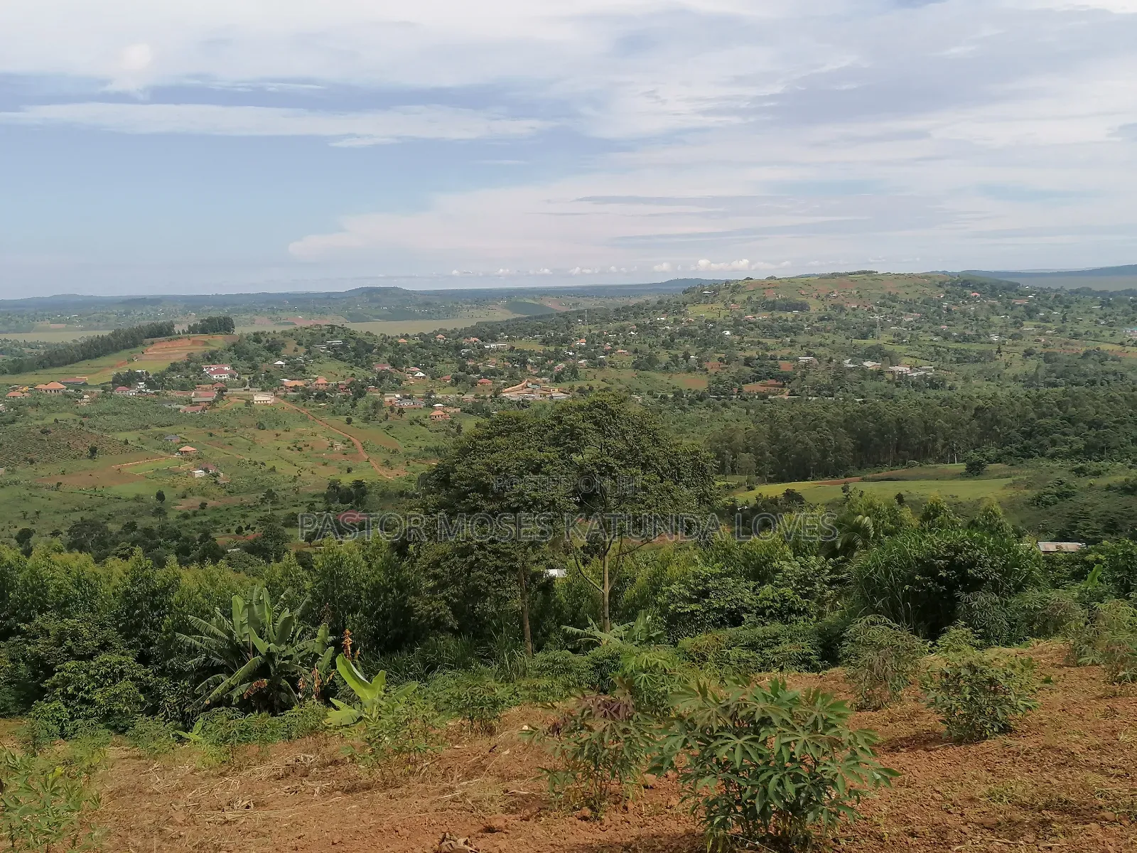 15 Acres at Kampilingisa at 90m Each Near Tarmac