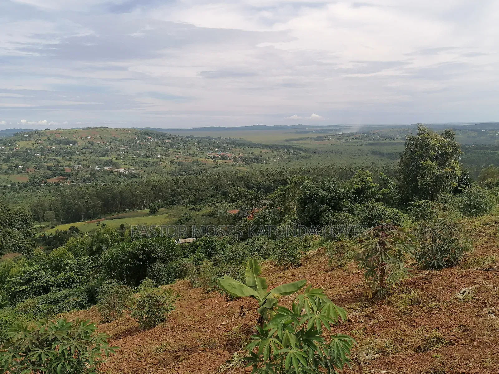 15 Acres at Kampilingisa at 90m Each Near Tarmac