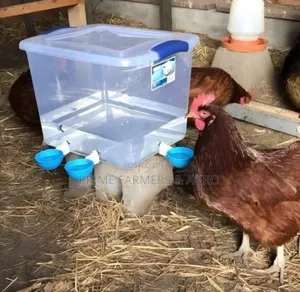 Chicken Nipples