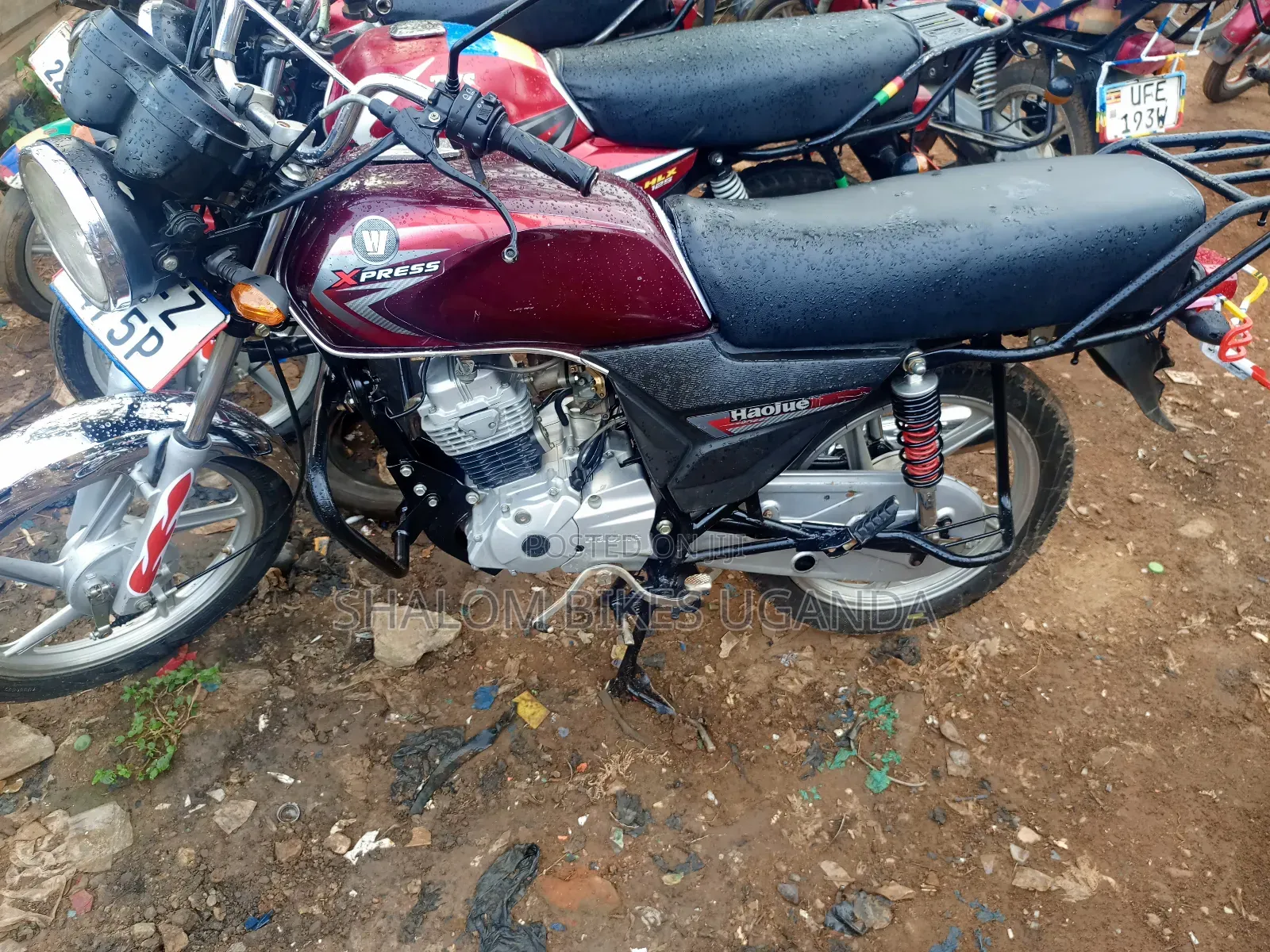Haojue EX125 2024 Brown