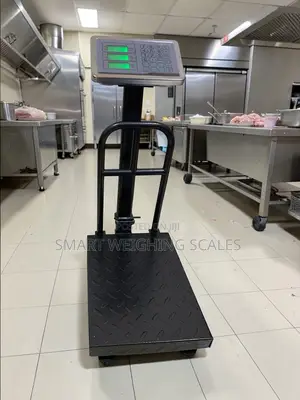 Weigh Restaurant Digital Weighing Scale Chicken Digital Weighing Scale