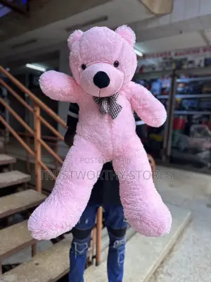 Pink Big Long Bear