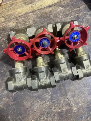 Gi Gatevalves