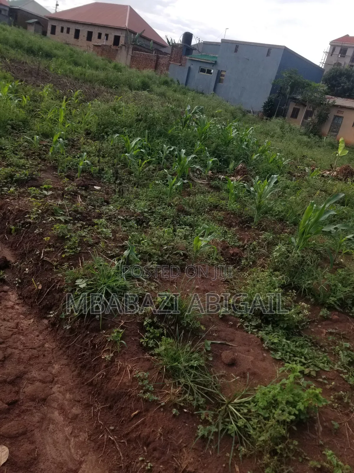 Land Plots 1/2 Hectare