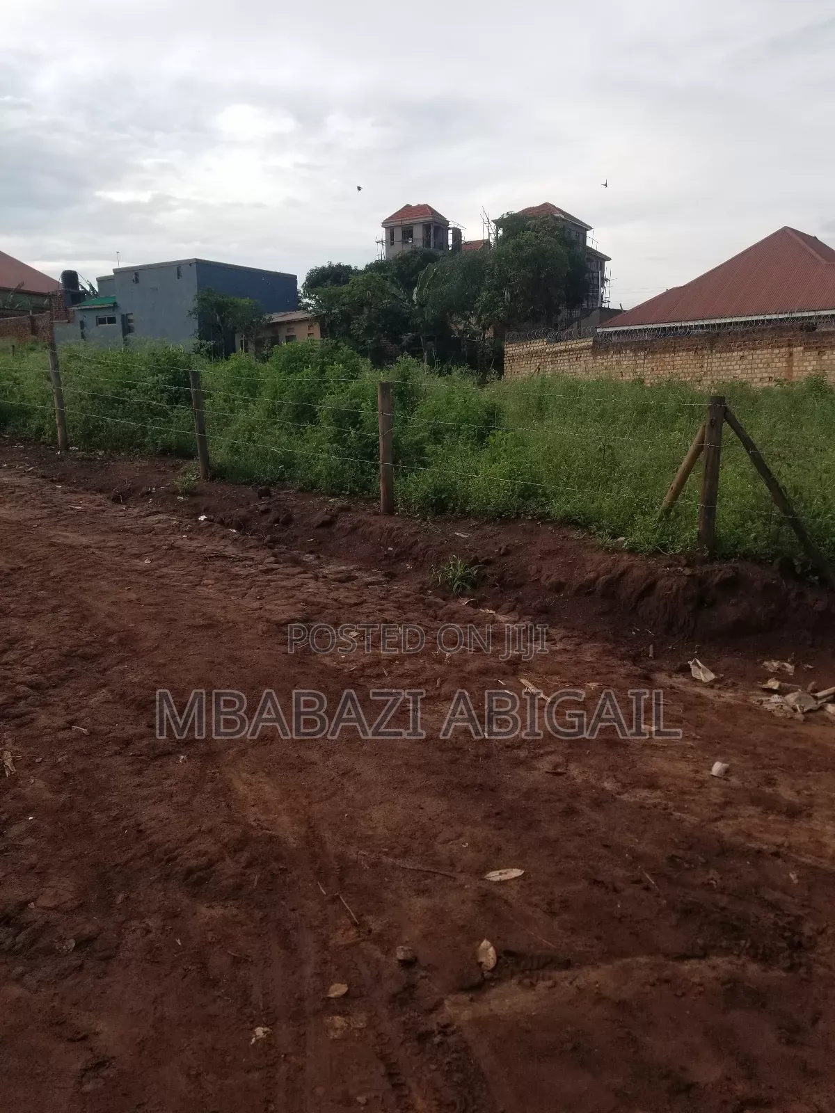 Land Plots 1/2 Hectare
