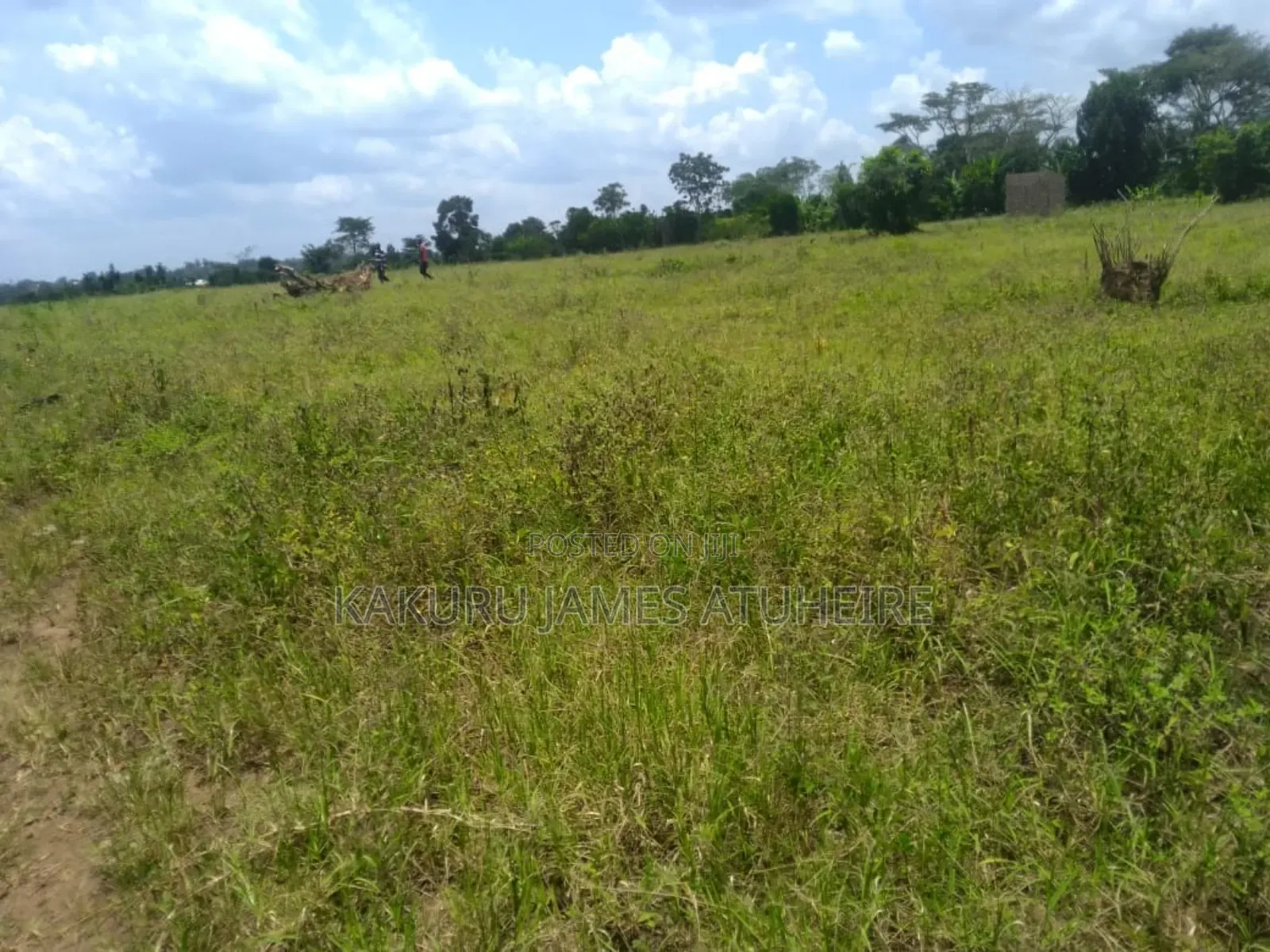 Lands and Properties