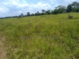 Lands and Properties